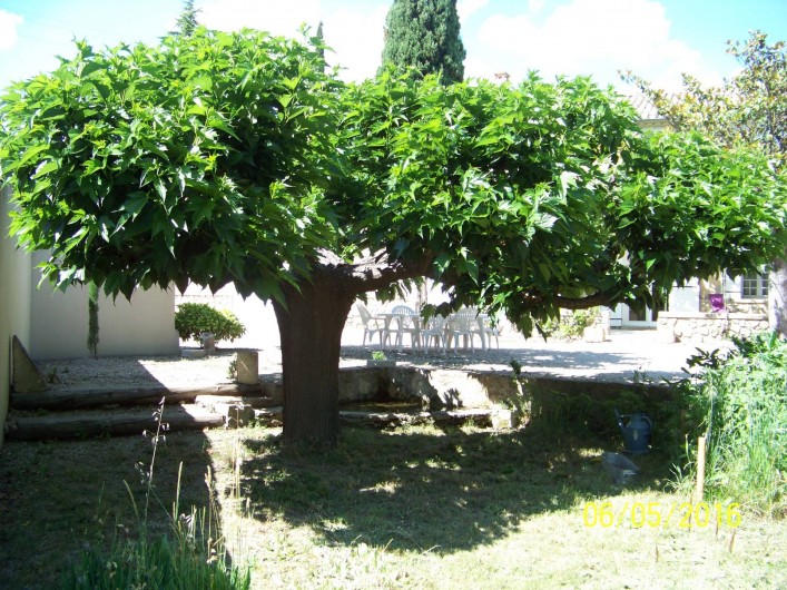 Location de vacances - Mas à L'Isle-sur-la-Sorgue