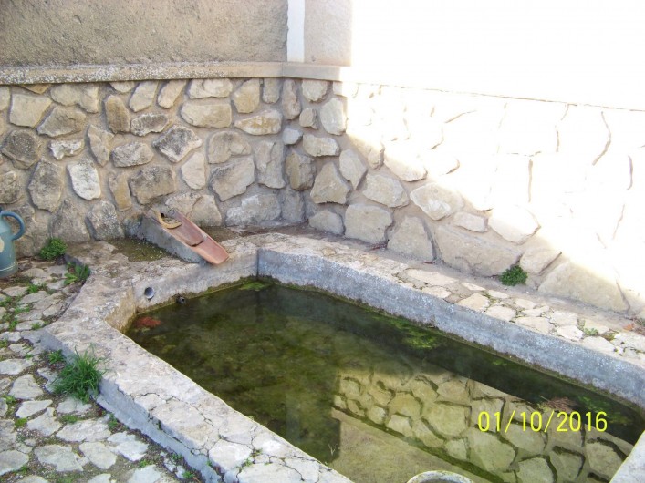 Location de vacances - Mas à L'Isle-sur-la-Sorgue