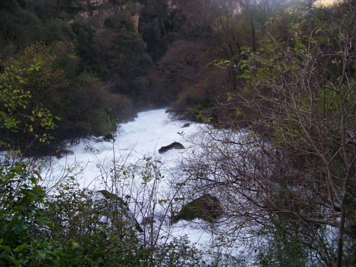 Location de vacances - Mas à L'Isle-sur-la-Sorgue