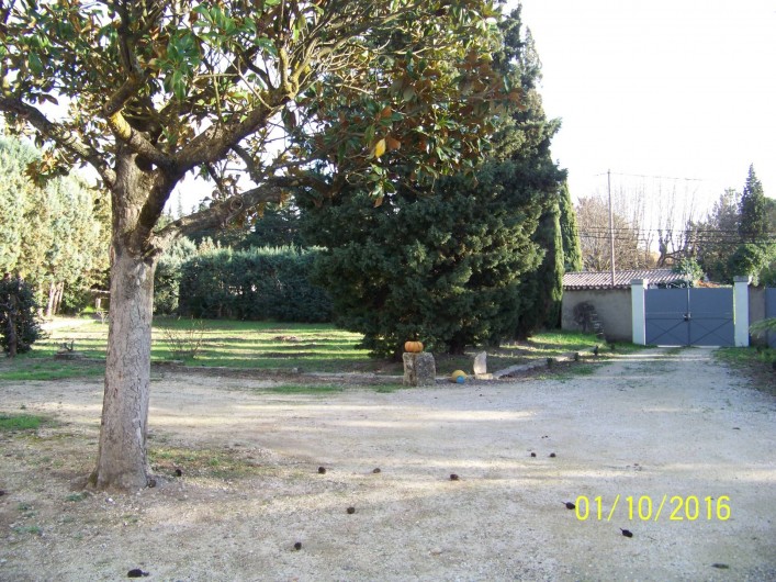 Location de vacances - Mas à L'Isle-sur-la-Sorgue