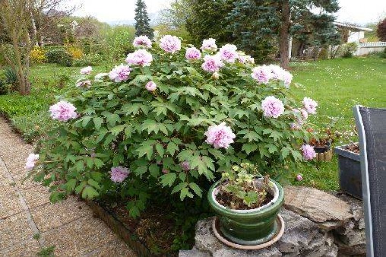 Location de vacances - Maison - Villa à Saint-Laurent-en-Royans