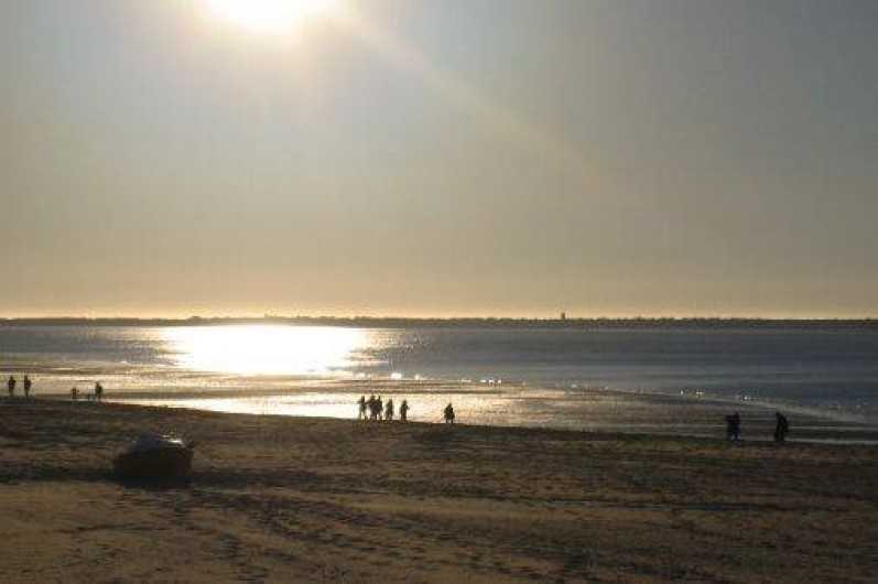 Location de vacances - Villa à Arcachon