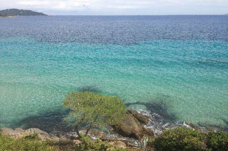 Location de vacances - Appartement à Le Lavandou