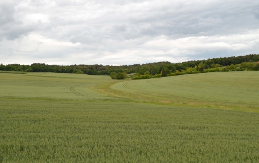 Location de vacances - Appartement à Scorbé-Clairvaux