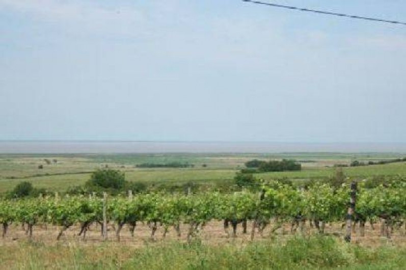 Location de vacances - Gîte à Saint-Dizant-du-Gua