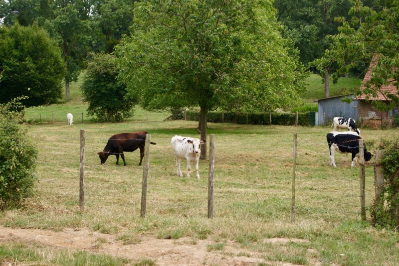Location de vacances - Maison - Villa à Azincourt - Côté jardin (clos)