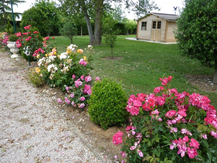 Location de vacances - Gîte à Lherm - Les bordures de rosiers