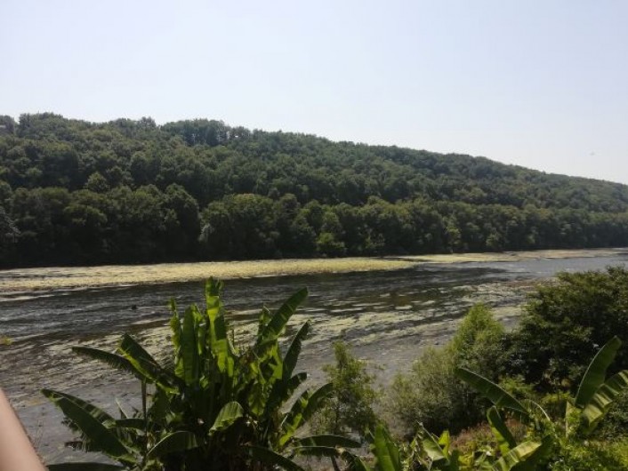 Location de vacances - Chambre d'hôtes à Saint-Avit-Sénieur - La Dordogne est à côté