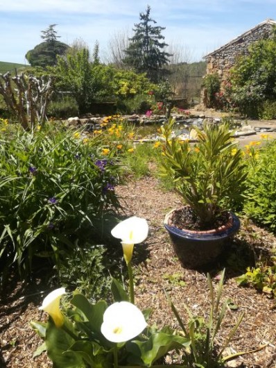 Location de vacances - Chambre d'hôtes à Saint-Avit-Sénieur - Le jardin