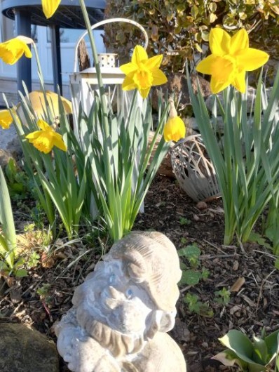 Location de vacances - Chambre d'hôtes à Saint-Avit-Sénieur - Le jardin