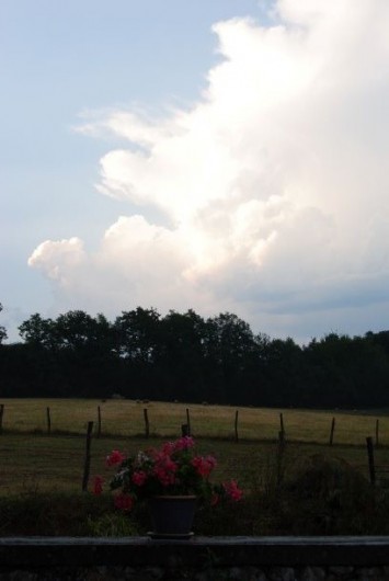 Location de vacances - Chambre d'hôtes à Saint-Avit-Sénieur - La nature est notre voisin ....