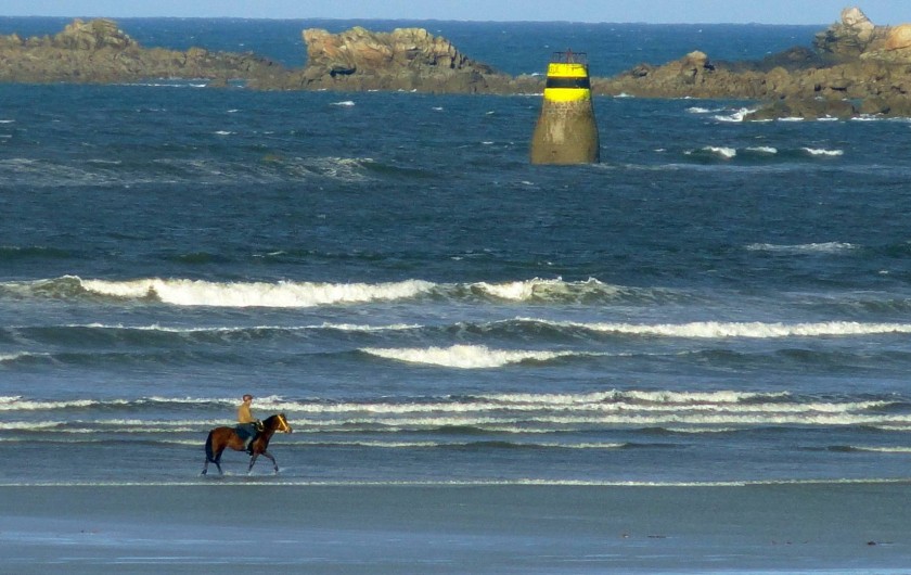 Location de vacances - Villa à Plougoulm - Promenade à cheval au bord de mer