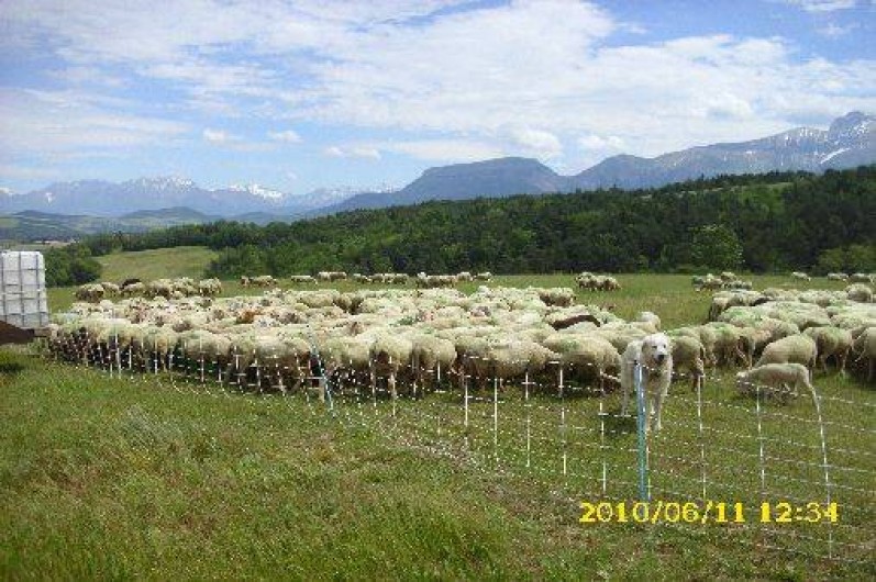 Location de vacances - Gîte à Tréminis