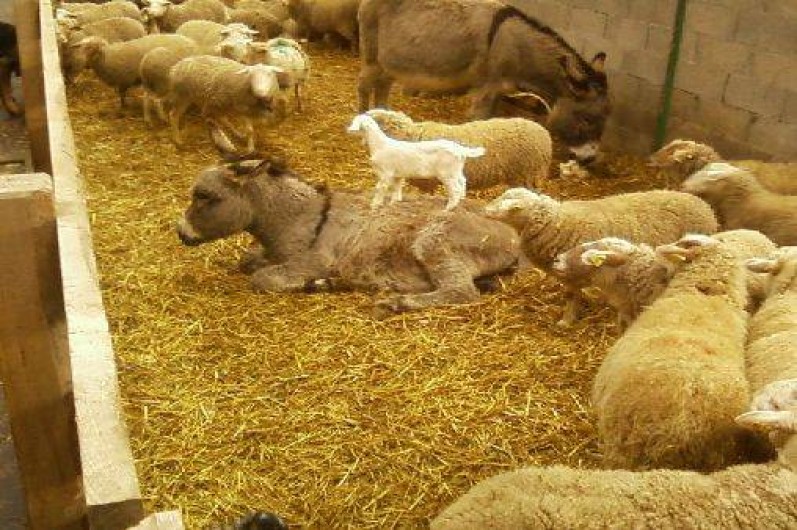 Location de vacances - Gîte à Tréminis