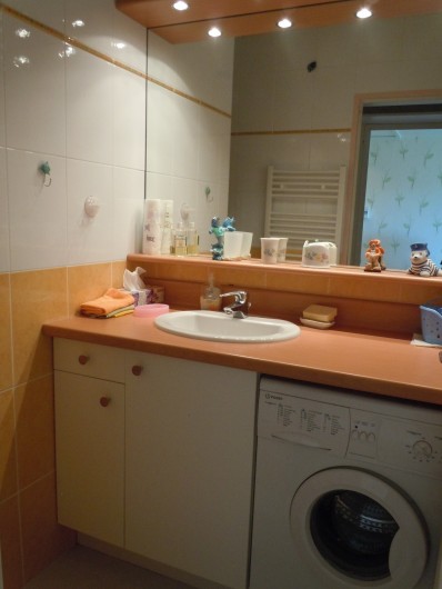 Location de vacances - Appartement à Courseulles-sur-Mer - Salle d'eau avec machine à laver et coin douche