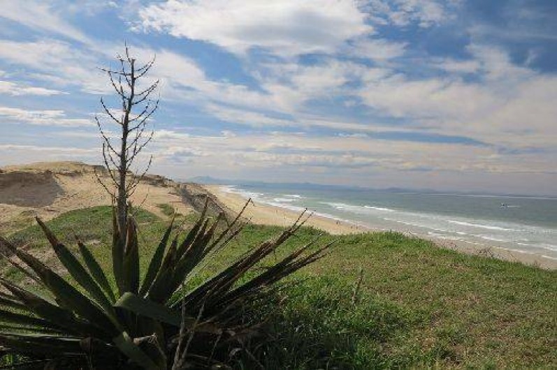Location de vacances - Villa à Capbreton