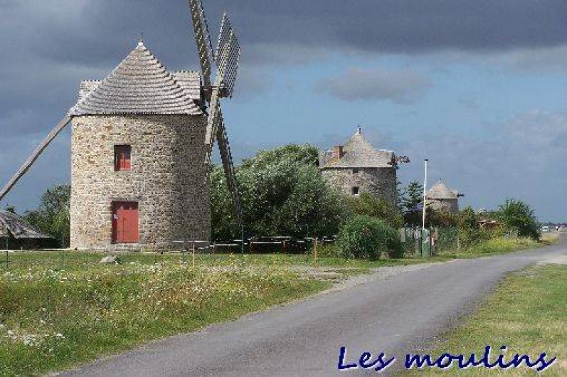Location de vacances - Gîte à Cherrueix - moulins