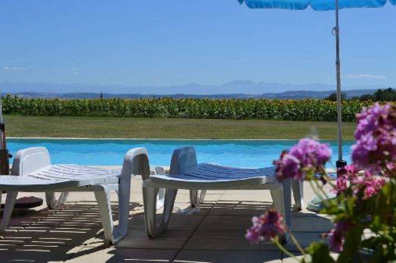 Location de vacances - Gîte à Saint-Papoul