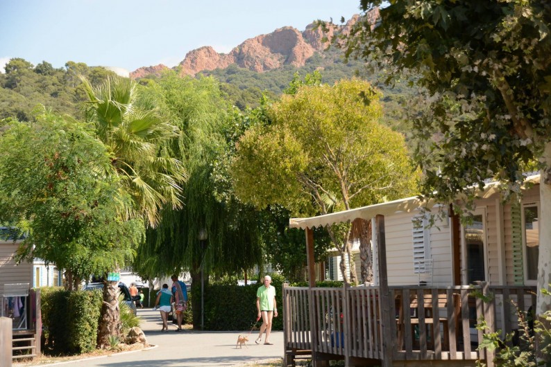 Location de vacances - Bungalow - Mobilhome à Agay