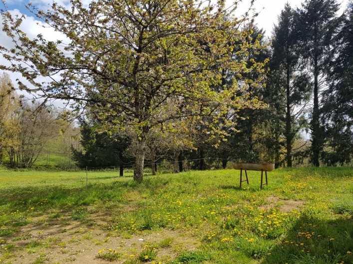 Location de vacances - Gîte à Saint-Clément