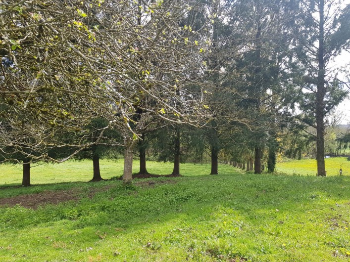 Location de vacances - Gîte à Saint-Clément