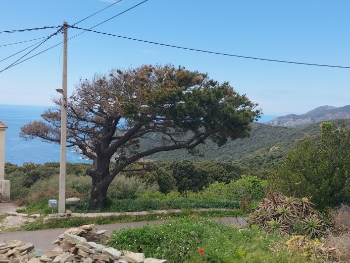 Location de vacances - Appartement à Morsiglia - JARDIN VUE MER