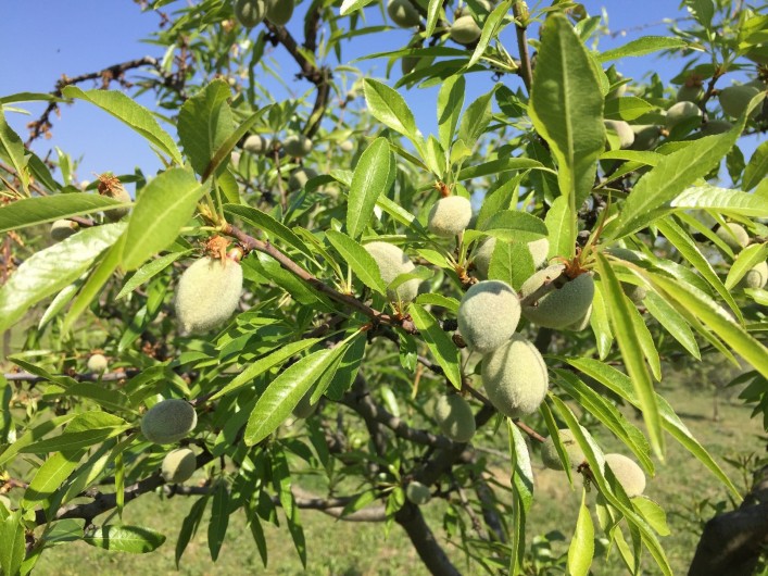 Location de vacances - Gîte à Rognes