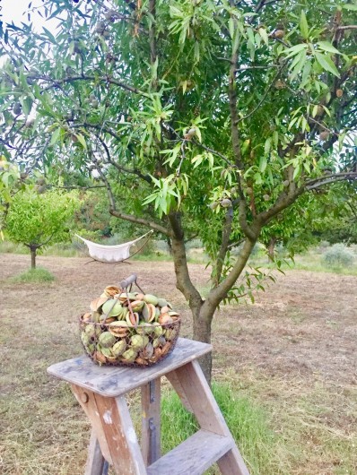 Location de vacances - Gîte à Rognes