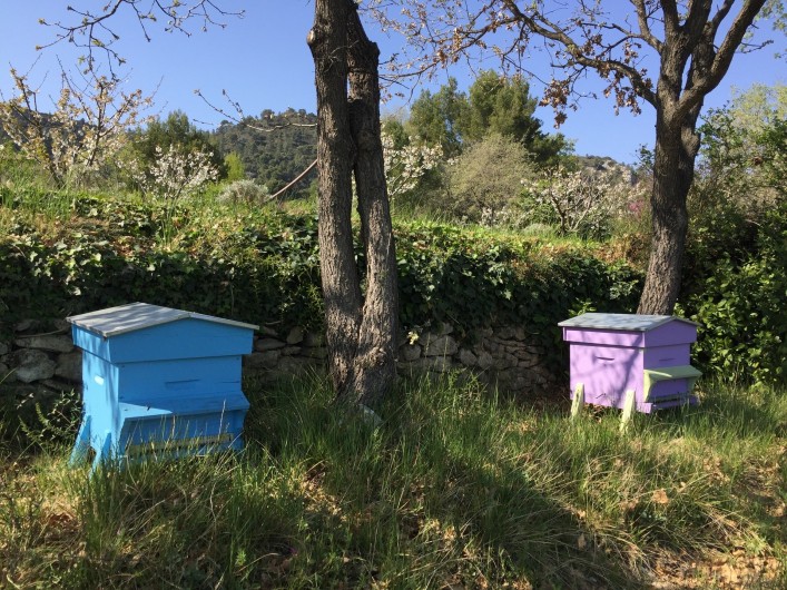 Location de vacances - Gîte à Rognes