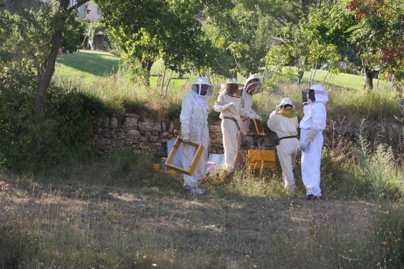 Location de vacances - Gîte à Rognes