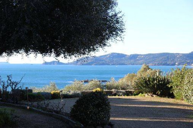 Location de vacances - Appartement à Le Lavandou