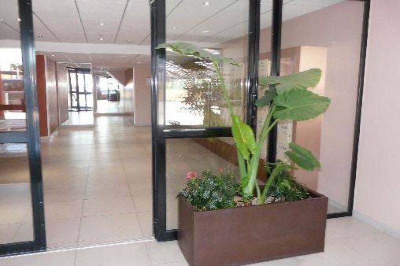 Location de vacances - Studio à Canet-en-Roussillon