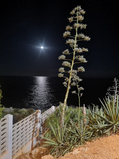 Location de vacances - Appartement à Oropesa del Mar