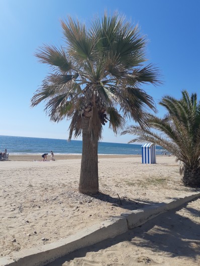 Location de vacances - Appartement à Oropesa del Mar - plages de sable fin à 150 mètres de la location