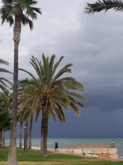 Location de vacances - Appartement à Oropesa del Mar