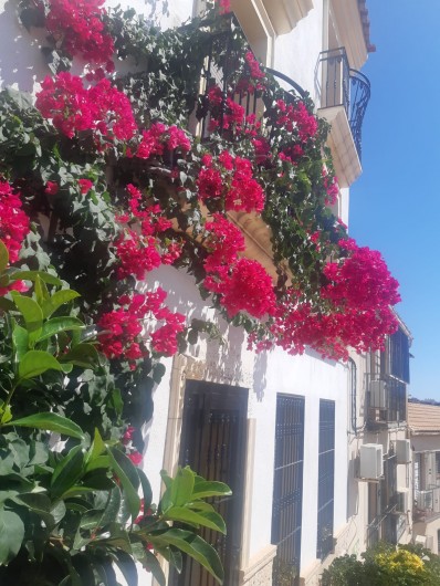 Location de vacances - Appartement à Oropesa del Mar - Centre historique d'Oropesa del Mar