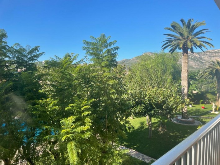 Location de vacances - Appartement à Oropesa del Mar - Vue sur le jardin