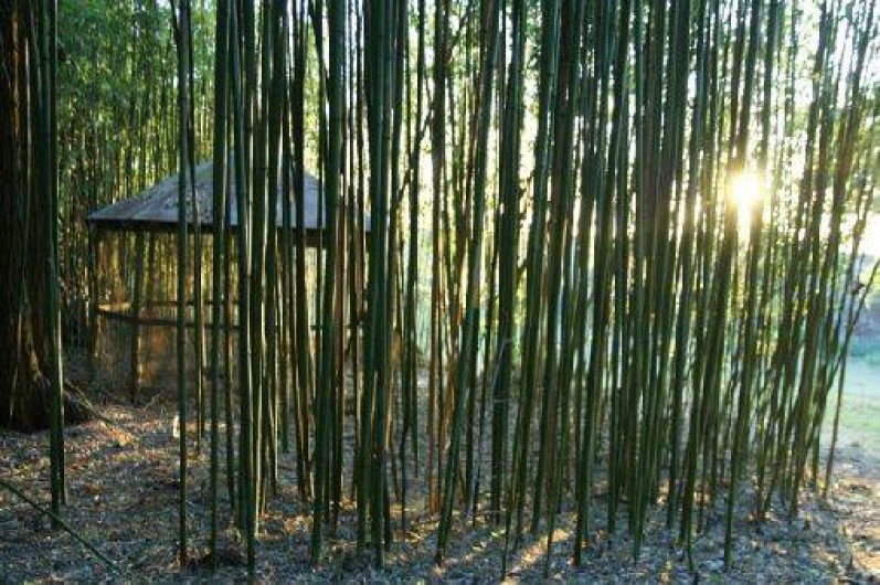 Location de vacances - Gîte à Faymoreau