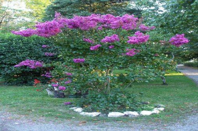 Location de vacances - Gîte à Faymoreau