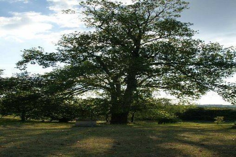 Location de vacances - Gîte à Faymoreau