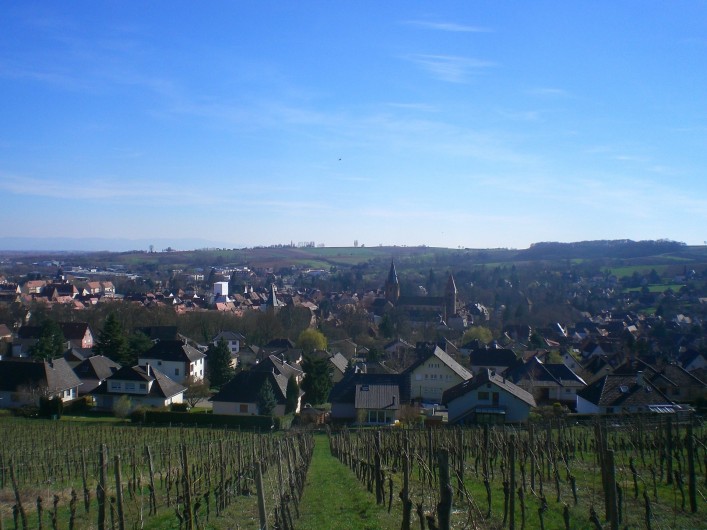 Location de vacances - Maison - Villa à Wissembourg