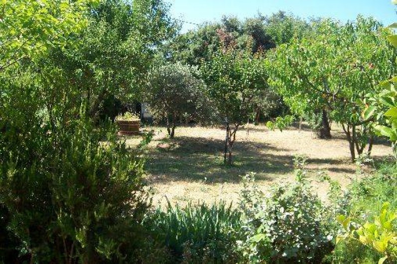 Location de vacances - Villa à La Cadière-d'Azur -  verger, plantes aromatiques.