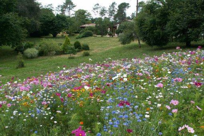 Location de vacances - Gîte à Bernos-Beaulac