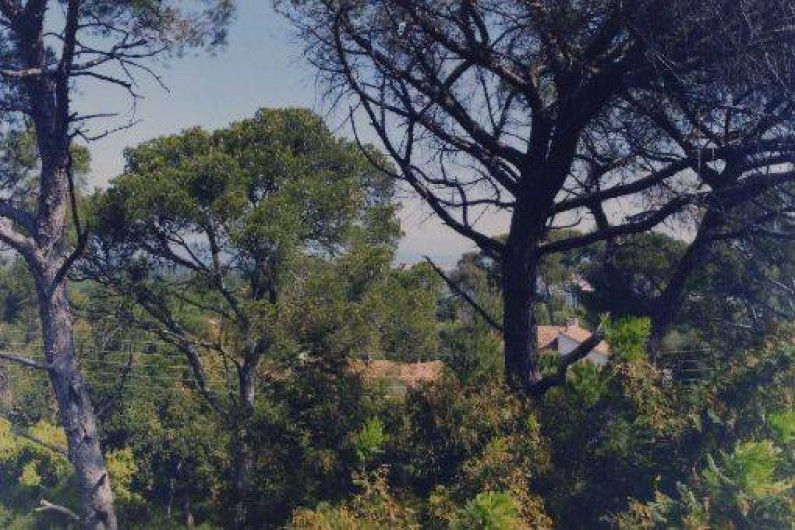 Location de vacances - Appartement à Saint-Aygulf