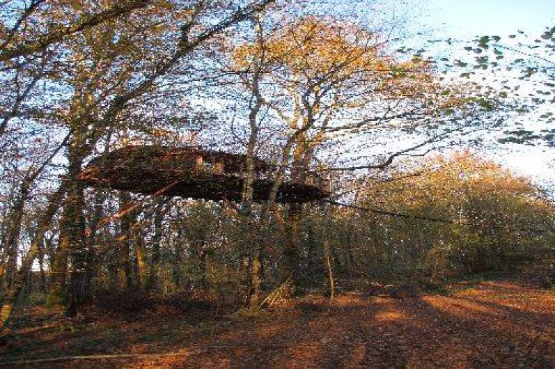 Location de vacances - Cabane dans les arbres à Ranchot