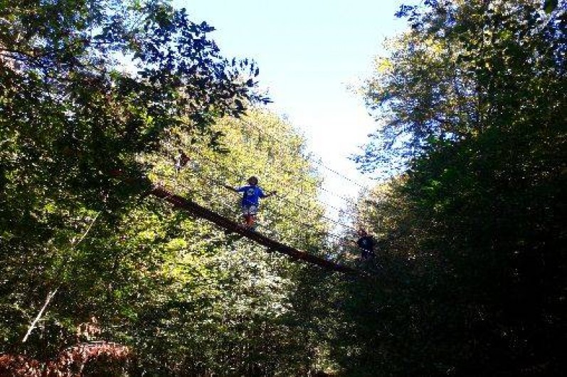 Location de vacances - Cabane dans les arbres à Ranchot