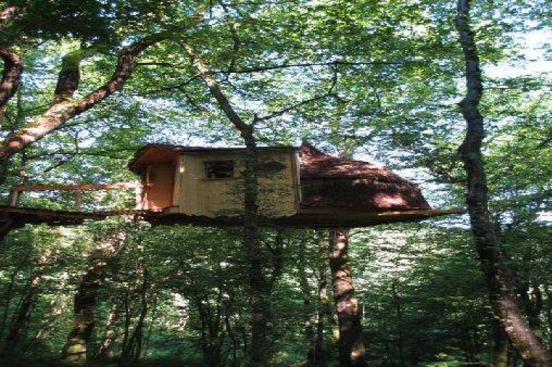Location de vacances - Cabane dans les arbres à Ranchot