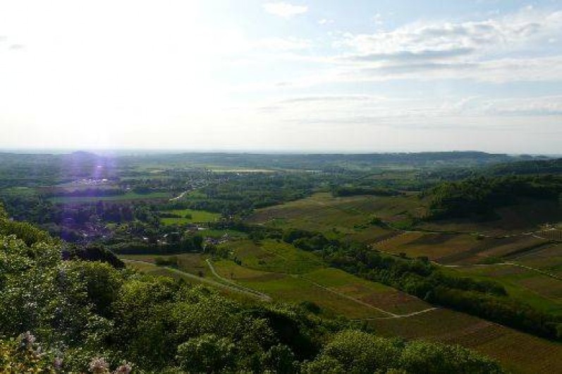 Location de vacances - Maison - Villa à Picarreau