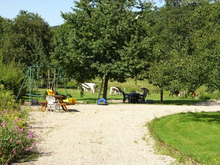 Location de vacances - Maison - Villa à Ban-sur-Meurthe-Clefcy - Terrain de jeux pour les enfants
