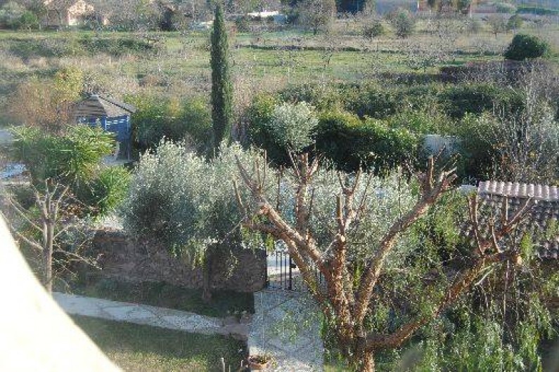 Location de vacances - Maison - Villa à Solliès-Pont